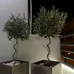 Center Luxury Volos