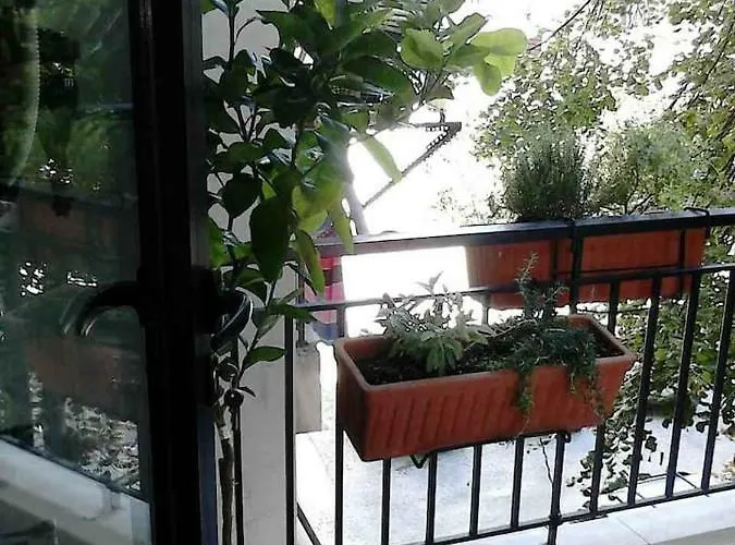 Center Luxury Апартаменты *