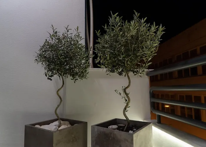 Center Luxury Волос